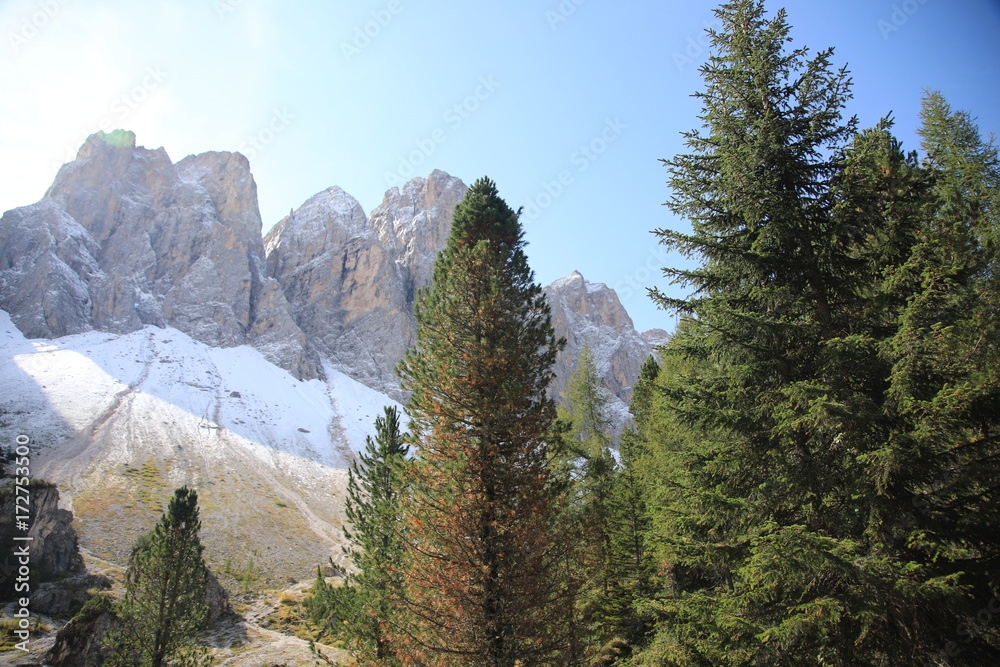 Obraz premium Bergblick