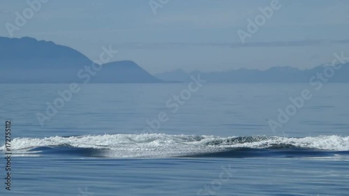 Humpback Breach