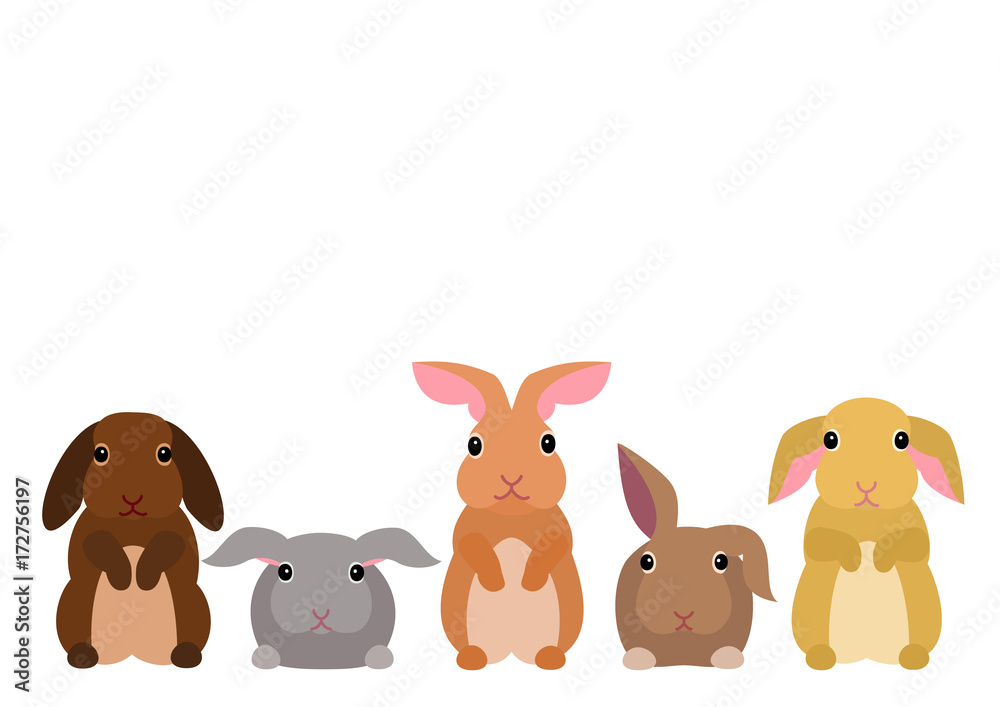 Obraz cute rabbits border