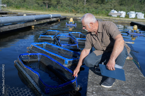 senior manager inspecting nets at fish farm