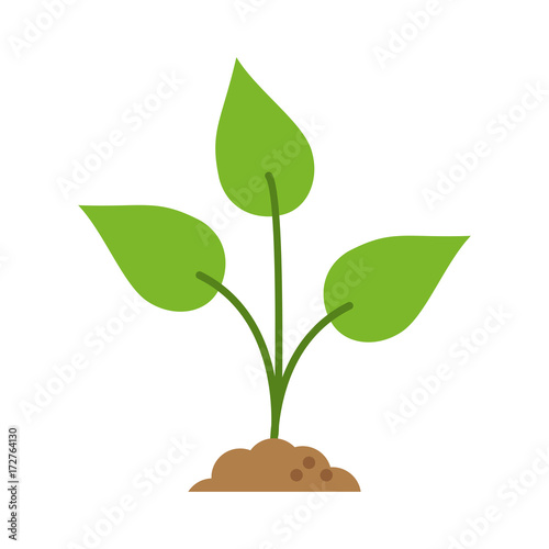 plant sprout icon image vector illustration design 