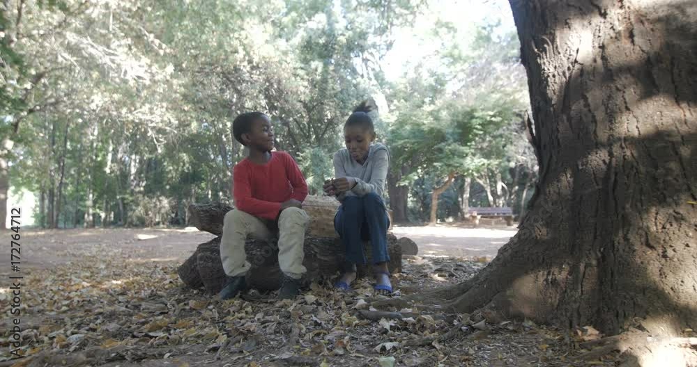 Cute young boy & girl exploring the woods on a summer day. Cute young boy & girl exploring the woods on a summer day.
