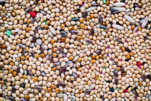 Texture of bird food