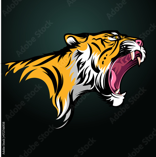 Fototapeta Naklejka Na Ścianę i Meble -  Vector illustration, Tiger fierce with open mouth