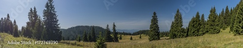 Meadow under Velky Choc hill in north Slovakia in summer