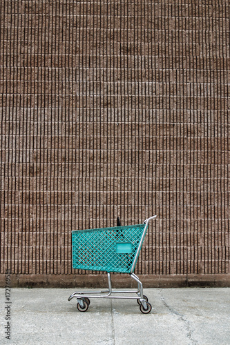 Empty Shopping Cart