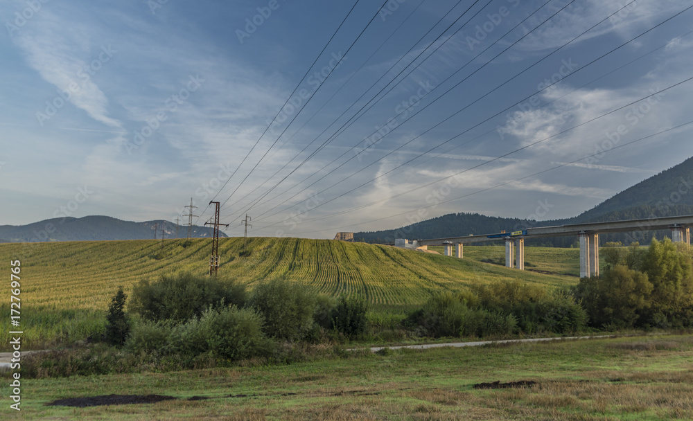 View near Ruzomberok town with big hill and wires