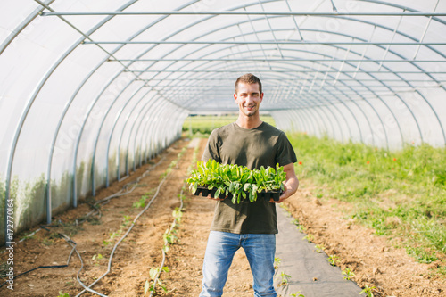 Farmer holding seedlings in a greenhouse.