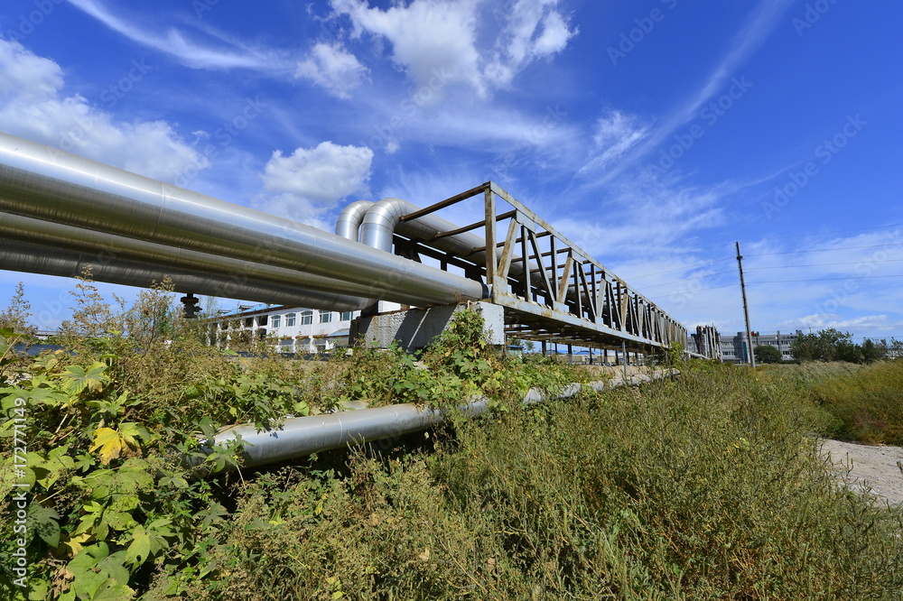 Fototapeta premium The pipe and valve oil fields