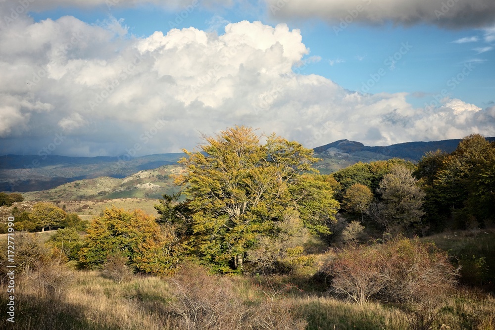 Mountain Autumnal Landscape, Nebrodi Park - Sicily Mountain Autumnal Landscape, Nebrodi Park - Sicily