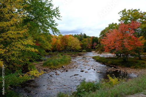 Autumn leaves at the creek