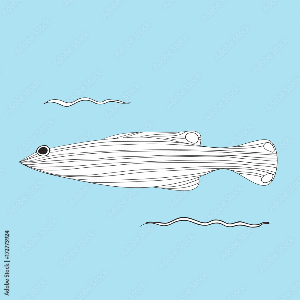 Vector of underwater creatures Vector of underwater creatures