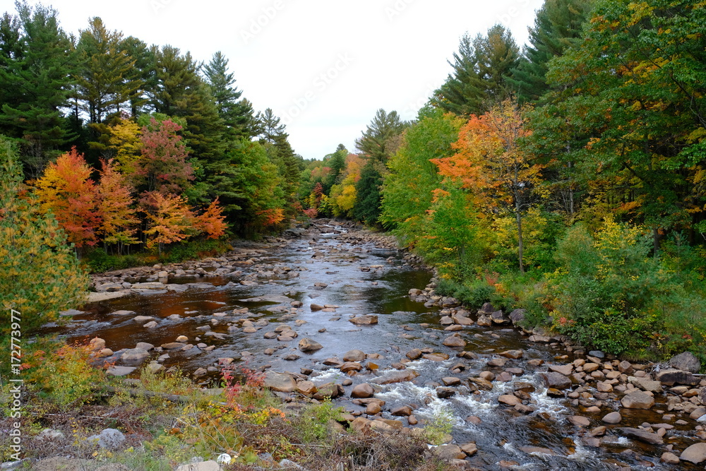 The creek in fall The creek in fall