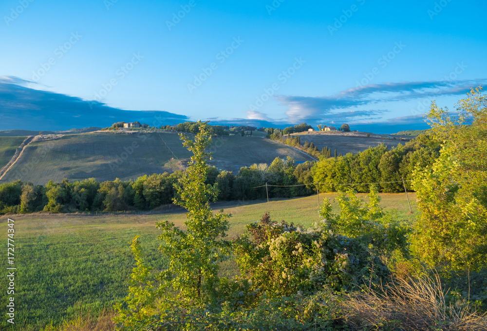 Amazing landscape in Tuscany Italy