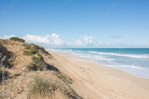 Fototapeta Naklejka Na Ścianę i Meble -  Beach sand dune on sunny day in Coorong National Park, South Australia