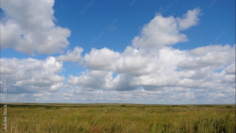 Obraz premium Summer landscape with field of grass,blue sky timelapse. Green Grass Field Landscape with fantastic clouds in the background. Great summer landscape.