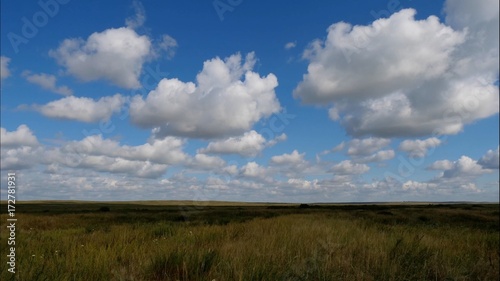 Summer landscape with field of grass blue sky timelapse. Green Grass Field Landscape with fantastic clouds in the background. Great summer landscape.