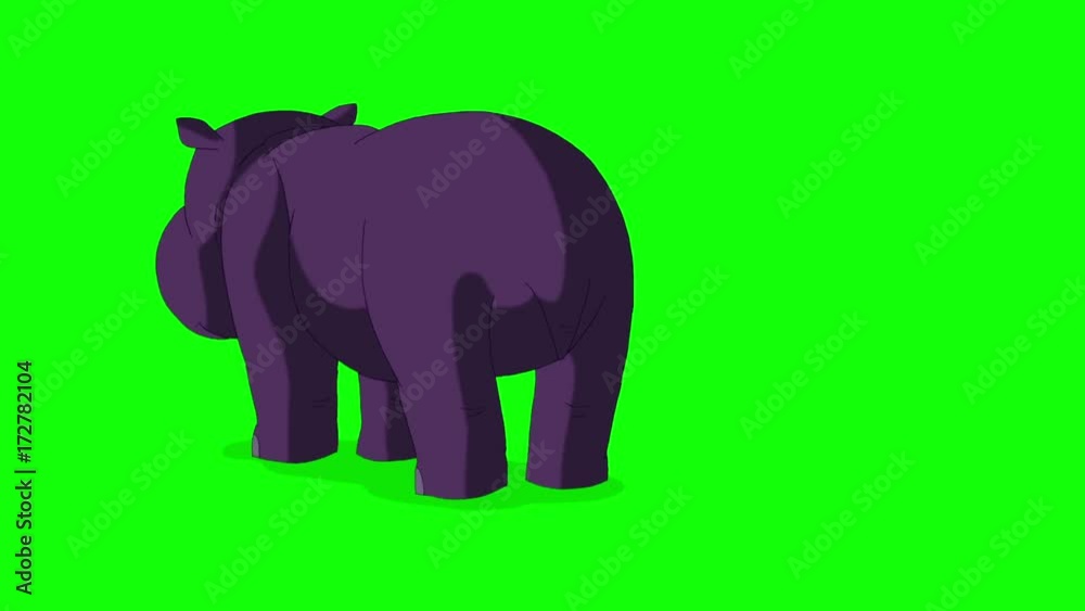 Little Violet Hippo Runs with Stop Back View. Animated Motion Graphic Isolated on Green Screen Little Violet Hippo Runs with Stop Back View. Animated Motion Graphic Isolated on Green Screen