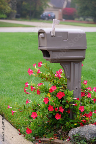 Plastic mail box with flowers around in neighborhood