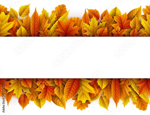 Autumn leaves isolated on white background