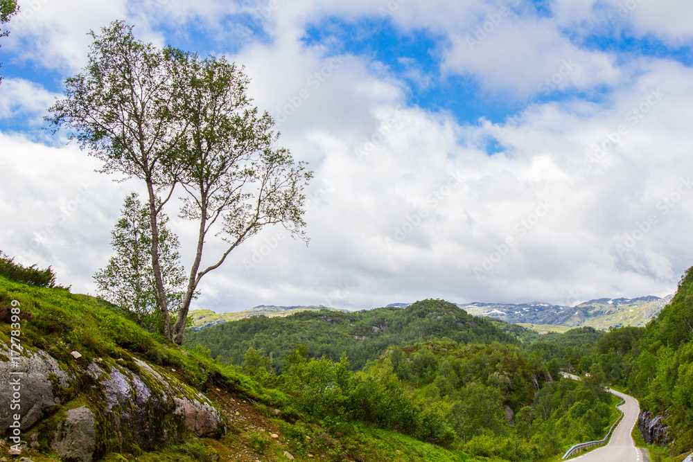Obraz premium beautiful view on summer road. Forsand, Rogaland, Norway