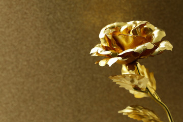 golden flower (rose) on a sparkling gold background
