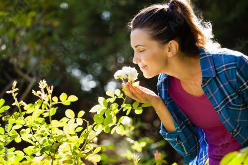 Smiling woman smelling roses at backyard