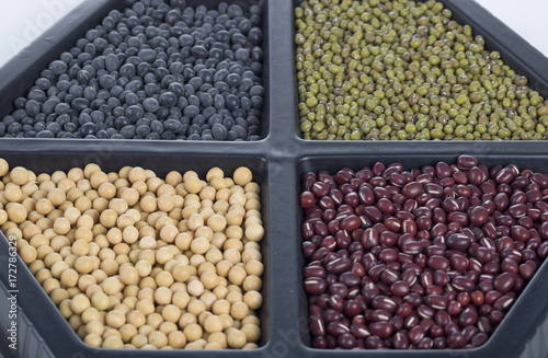 Different colorful beans in container, soybeans, black beans, mung beans and red beans.