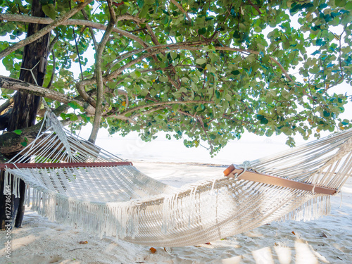 Empty hammock on the tropical beach with trees and beautiful sea view background.