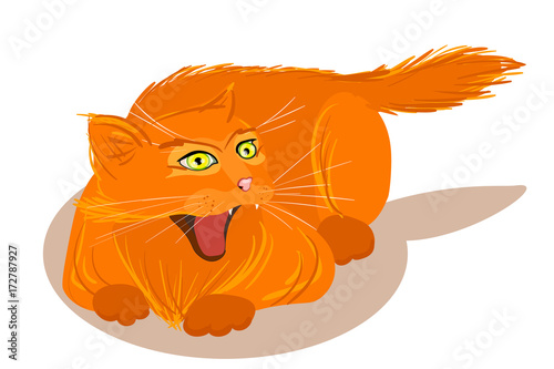 Fototapeta Naklejka Na Ścianę i Meble -  Vector angry red cat isolated