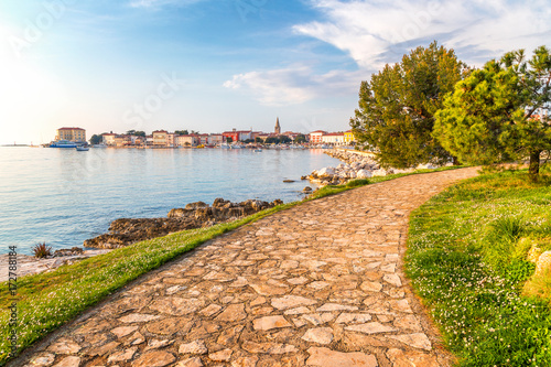 Sidewalk to Porec town on Adriatic sea in Croatia, Europe. photo