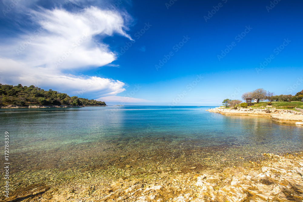 Green lagoon near Porec town on the Adriatic sea coast, Croatia, Europe.