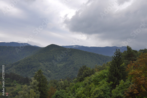 Green mountains in summer
