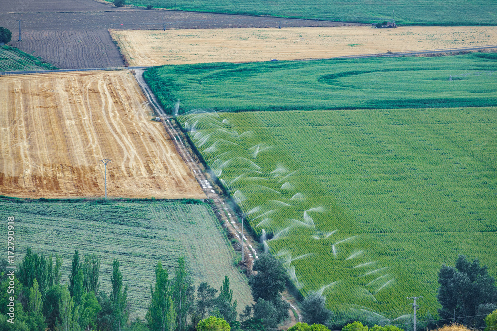 Agriculture fields with irrigation machines working