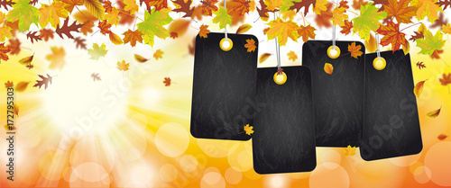 Schwarze Preisschilder aus Schiefertafel mit Sonne, Sonnenstrahlen und Herbstblättern