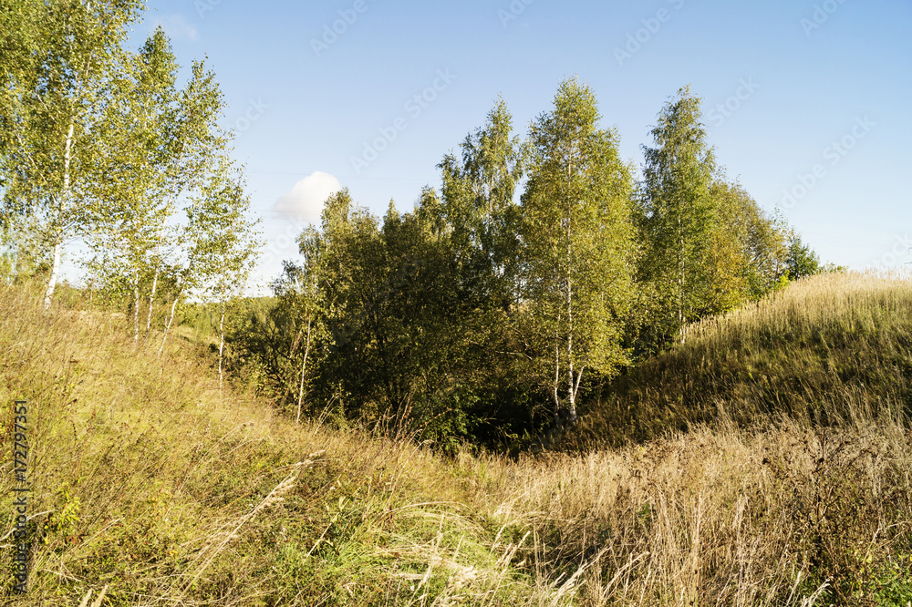 Autumn landscape in rural terrain