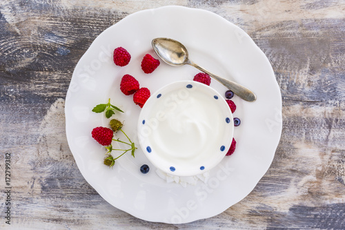 A bowl of healthy and delicious yogurt with fresh berry fruits.