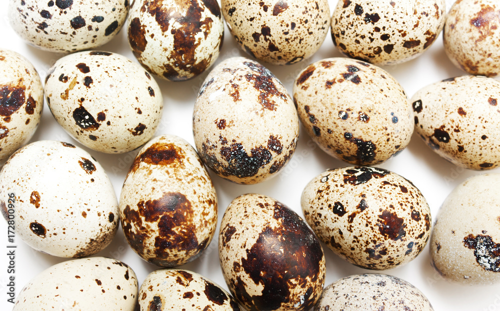 Quail eggs closeup Quail eggs closeup