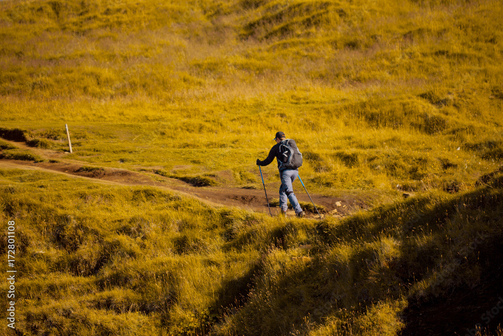 Hiker with sticks and backpack goes forward on mountain path. Iceland