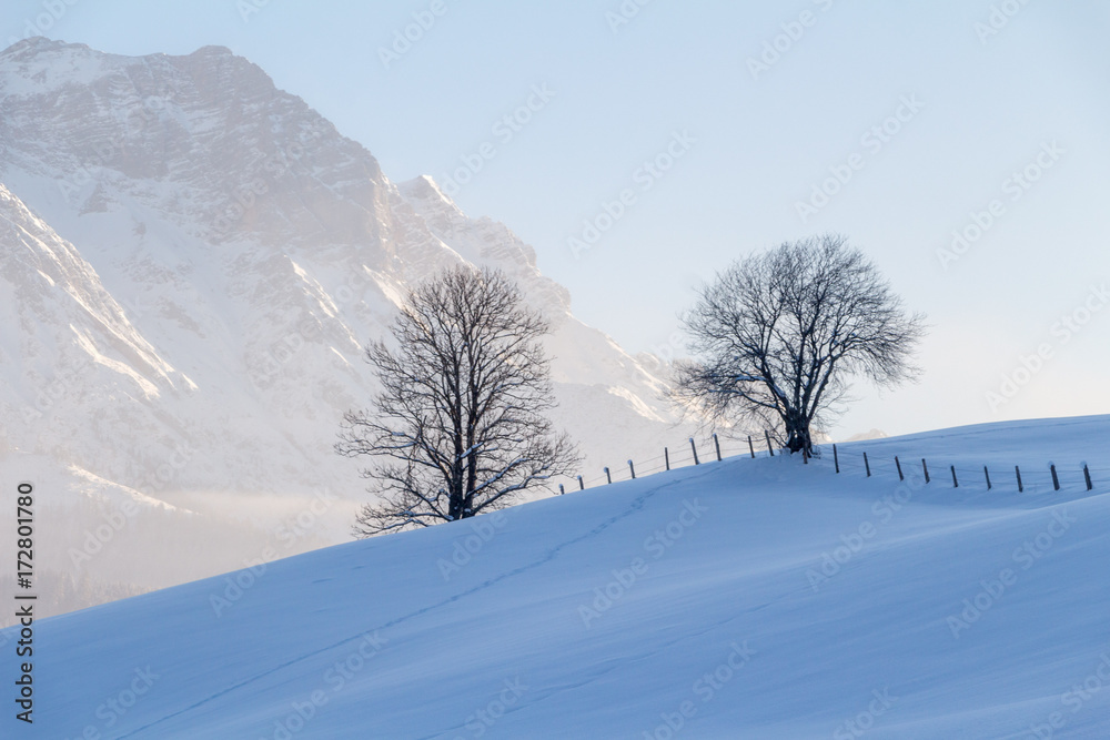 Berge und Bäume im Winter, Steinernes Meer Saalfelden