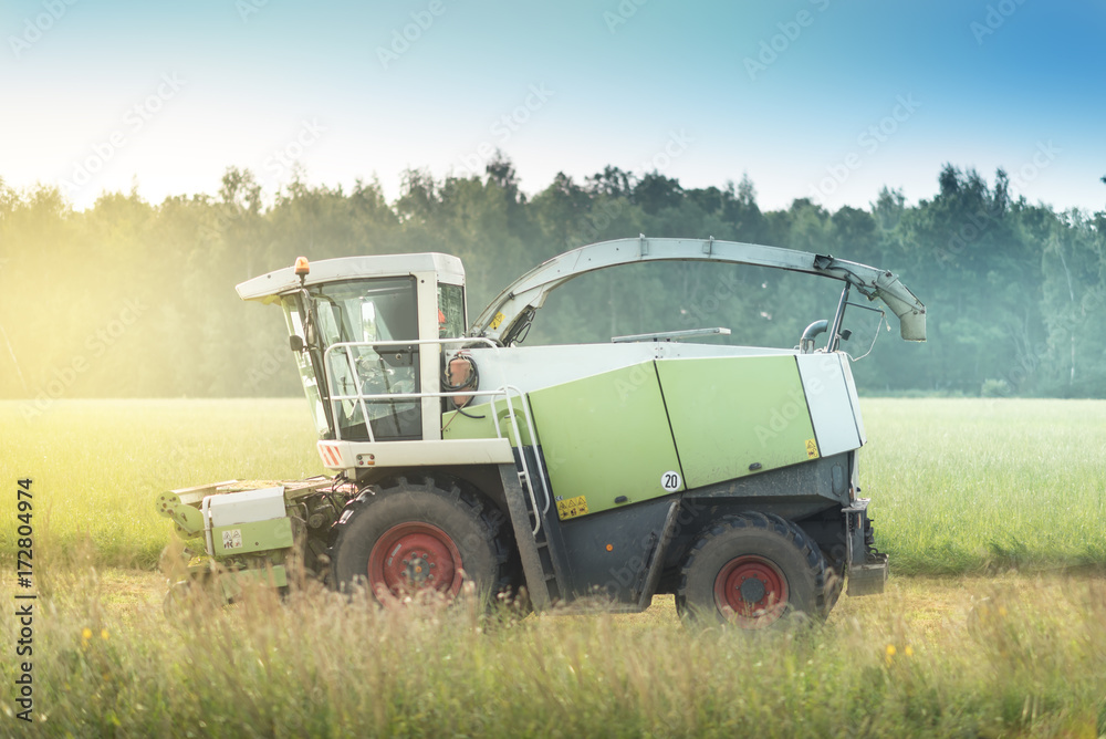 Fototapeta premium combine harvester in the morning on a field with blue sky