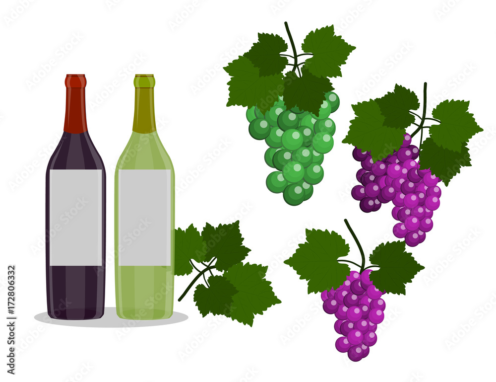 Set of Wine bottles and grapes isolated in the white background. Flat Design Illustration