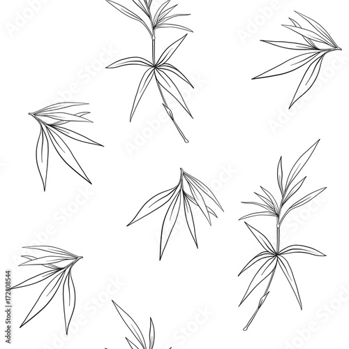 Seamless pattern with bamboo in Japanese style. Outline drawing 