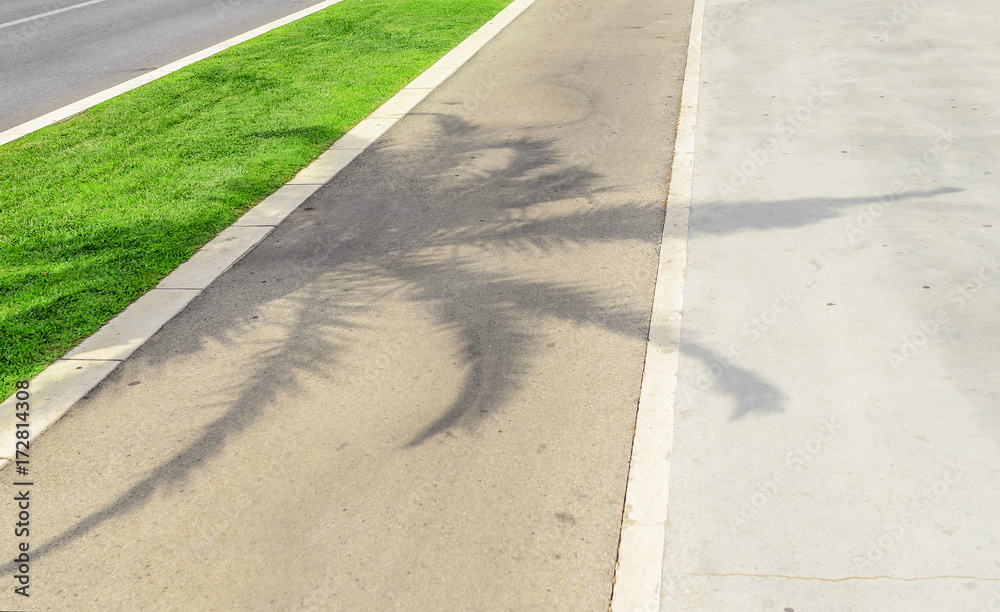 Obraz premium Shadow from a palm tree on the sidewalk.