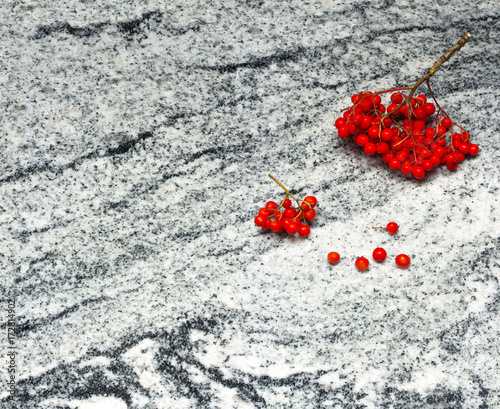 Rowan branches with bunches of ripe berries on Viscount White granite countertop