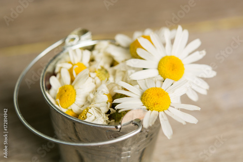 daisy flowers on wooden table. room for text  © RomanWhale studio