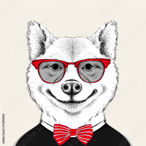 Image Portrait akita inu dog in the cravat and with glasses. Vector illustration.