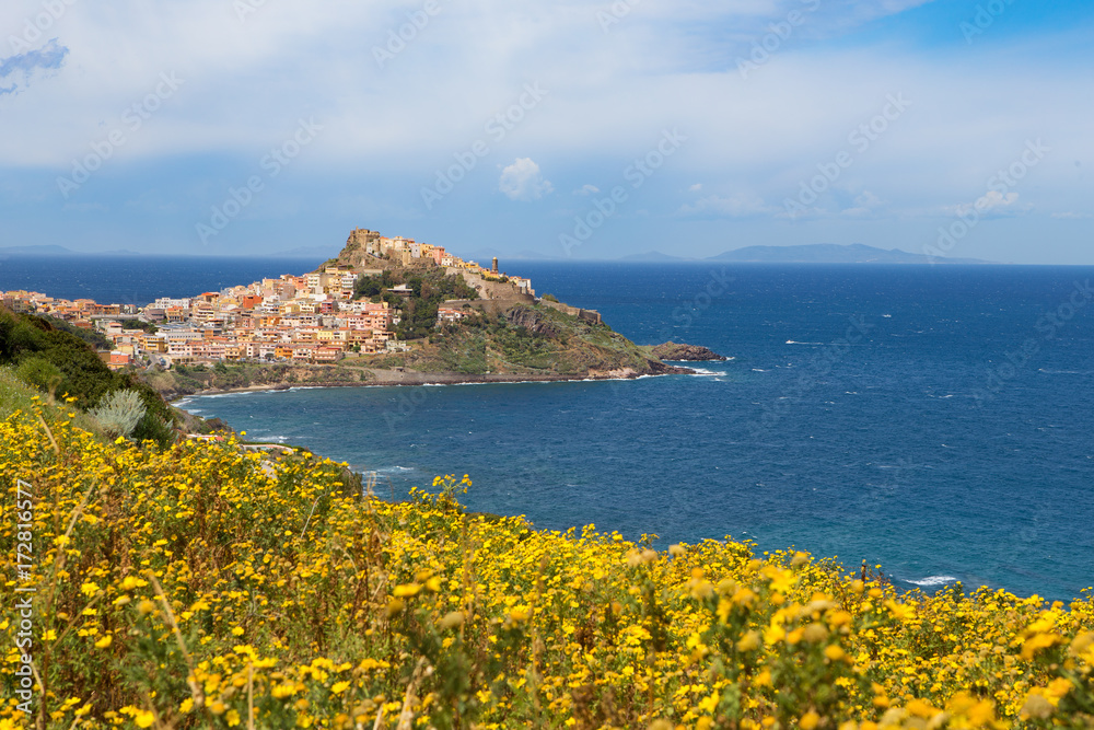 coastal view with village and flowers in front
