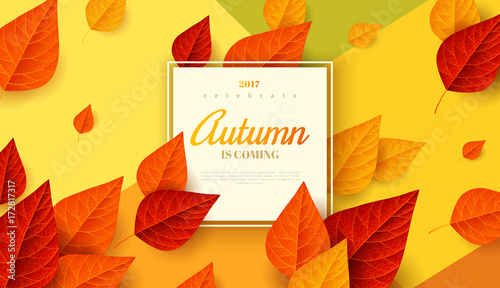 Autumn background with frame