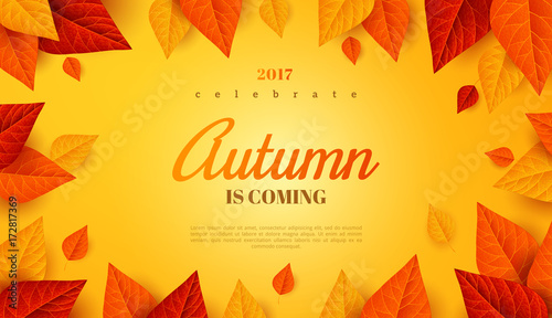 Autumn background with leaves